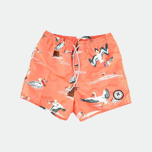 Rc K Bo Pelican - CORAL