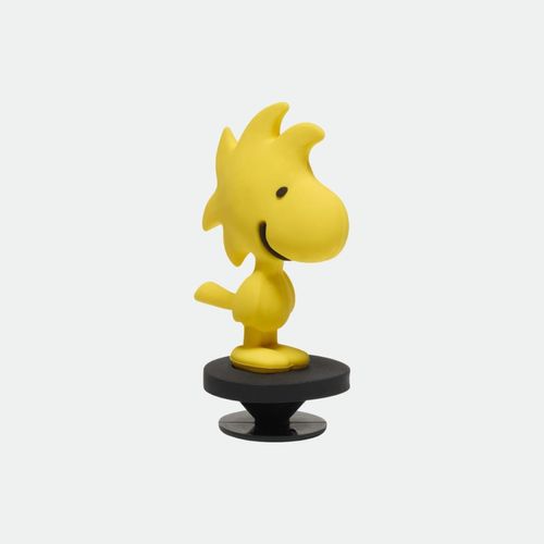 Jibbitz (Varios Modelos) - 3D WOODSTOCK
