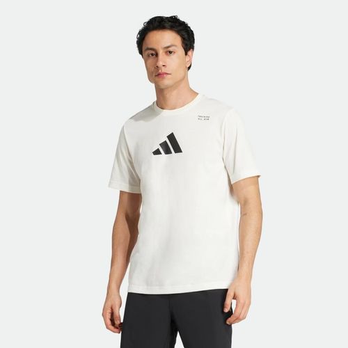 Remera Adidas Graphic Categoría Climacool Hombre - CHALK WHITE