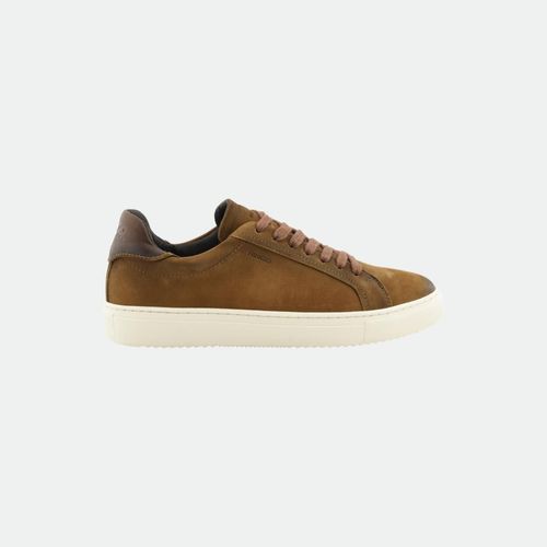 Zapatilla Urbana Daytona Ringo Hombre - NEW ROCK TAN