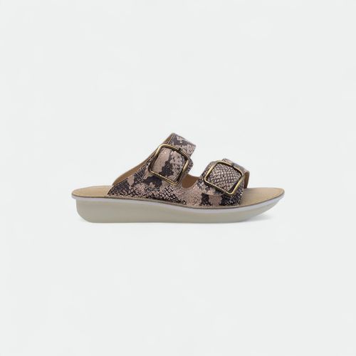 Zueco urbano con dos hebilla mujer Shane HUSH PUPPIES - IGUANA ANIMAL PRINT