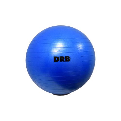 Gym Ball Goma Anti Burst 55 CM - AZUL